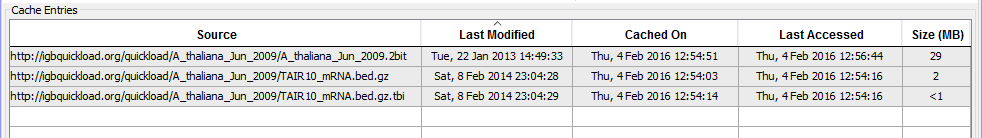 IGB Release Documentation > Cache > CacheEntries1.png