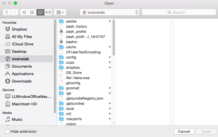 IGB Release Documentation > FileChooser > MacNativeFileChooser.png