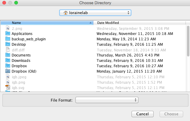 IGB Release Documentation > FileChooser > MacNonNativeFileChooser.png