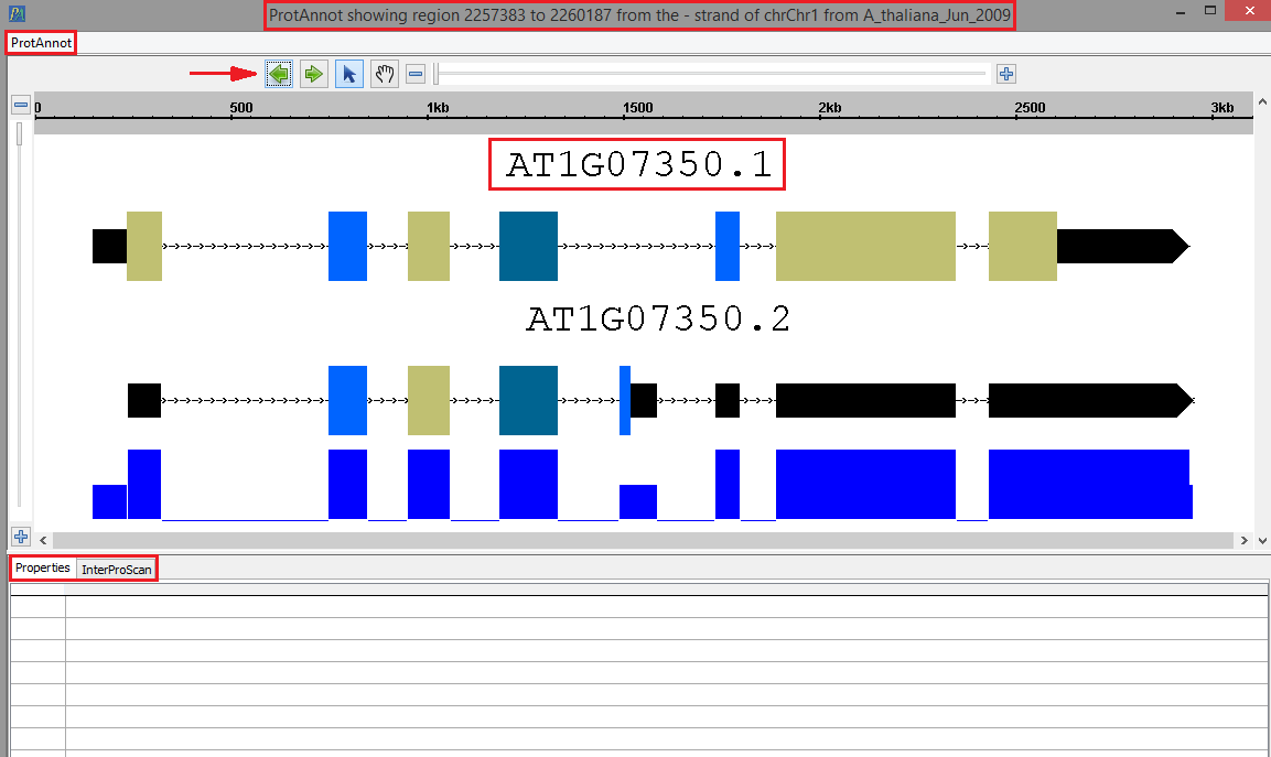 IGB Release Documentation > ProtAnnot > 1_ProtAnnot Loaded Page.png