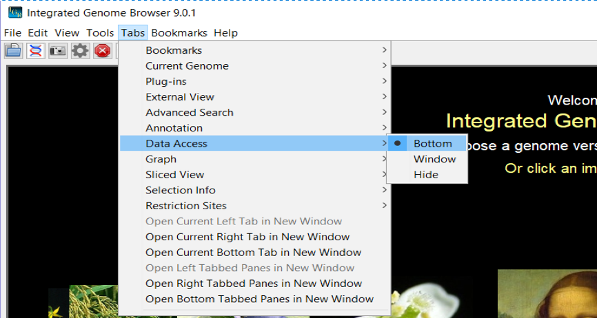 IGB Release Documentation > Tabbed Panels > Picture1.png
