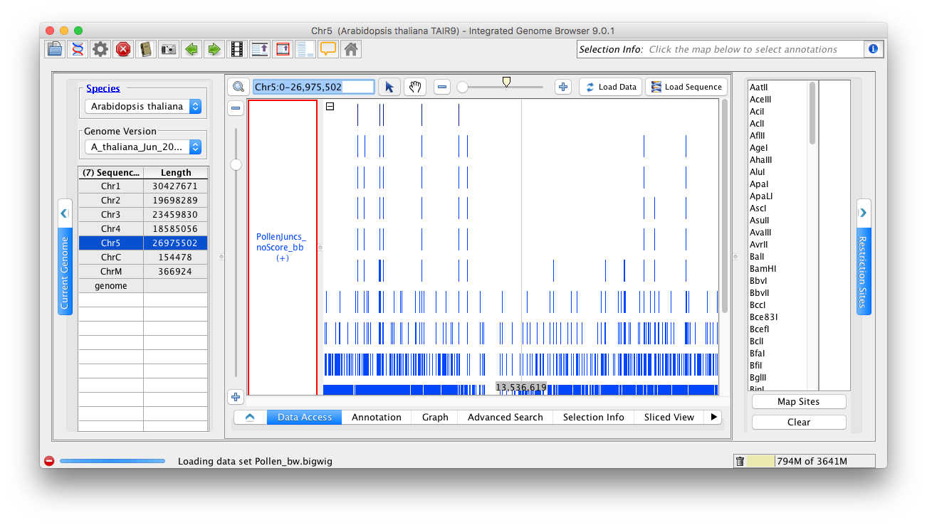 IGB Release Documentation > Tabbed Panels > Screen Shot 2018-06-07 at 1.50.00 PM.png