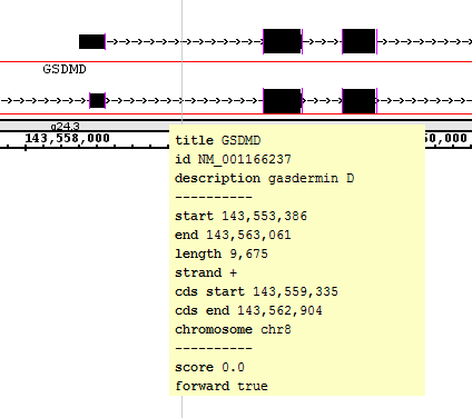 IGB Release Documentation > Search > GSDMDTooltip.png