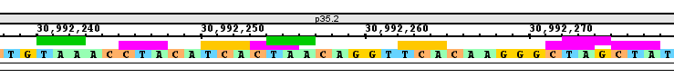 IGB Release Documentation > Search > ResidueMatches.png