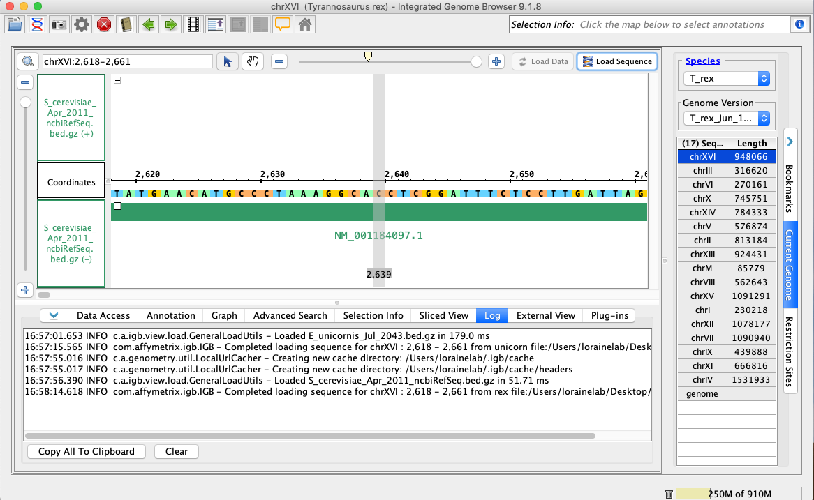 IGB Release Documentation > Quickload Saver > rexSequence.png