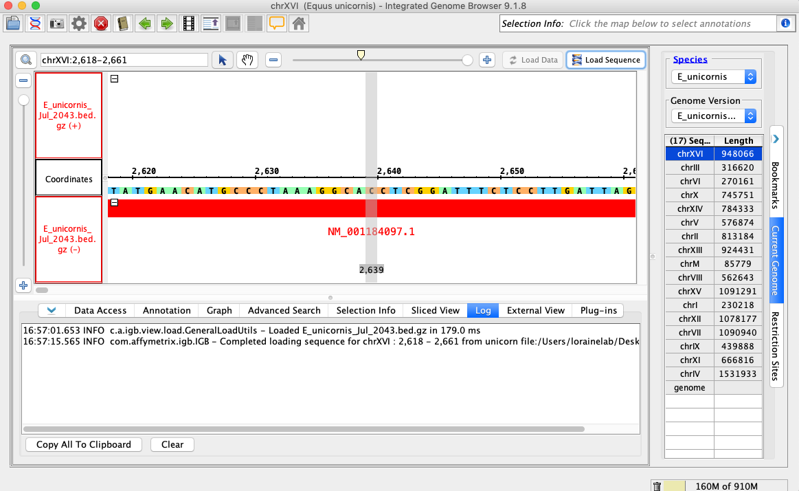 IGB Release Documentation > Quickload Saver > unicornSequence.png