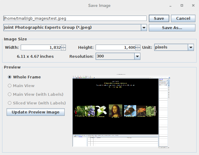 IGB Release Documentation > Image Export > image2015-9-2 10:58:49.png