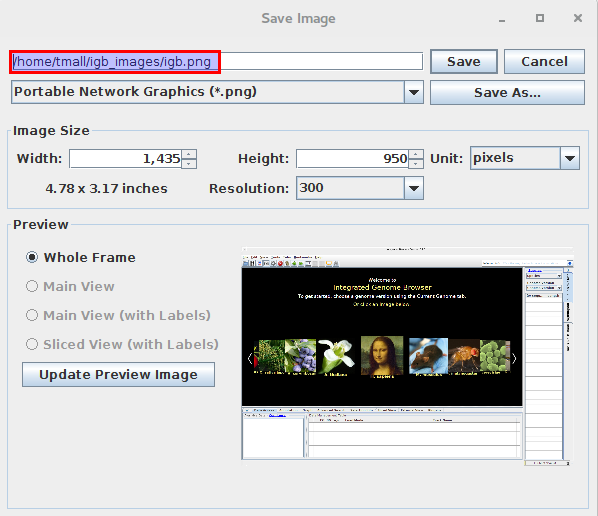 IGB Release Documentation > Image Export > image2015-9-2 11:12:8.png