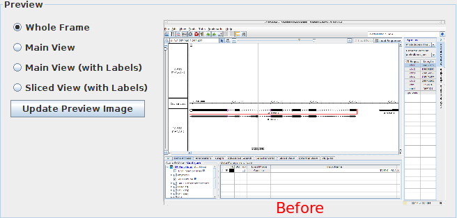 IGB Release Documentation > Image Export > image2015-9-2 11:34:24.png