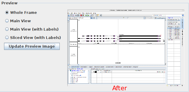 IGB Release Documentation > Image Export > image2015-9-2 11:35:6.png