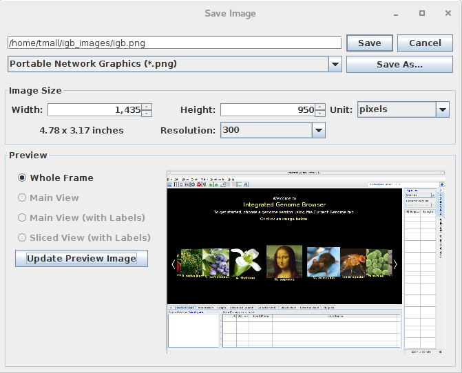 IGB Release Documentation > Image Export > image2015-9-2 11:36:32.png
