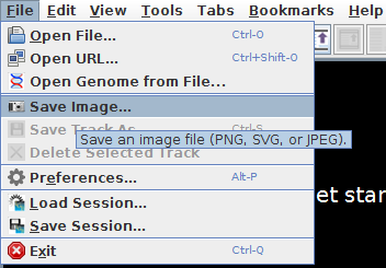 IGB Release Documentation > Image Export > image2015-9-2 11:5:34.png