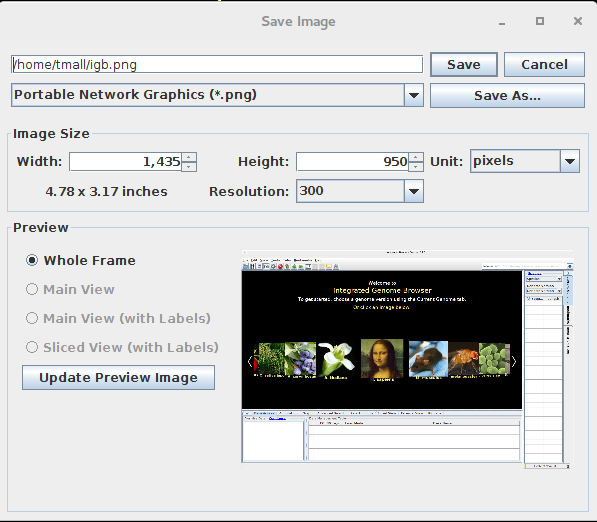 IGB Release Documentation > Image Export > image2015-9-2 11:6:12.png