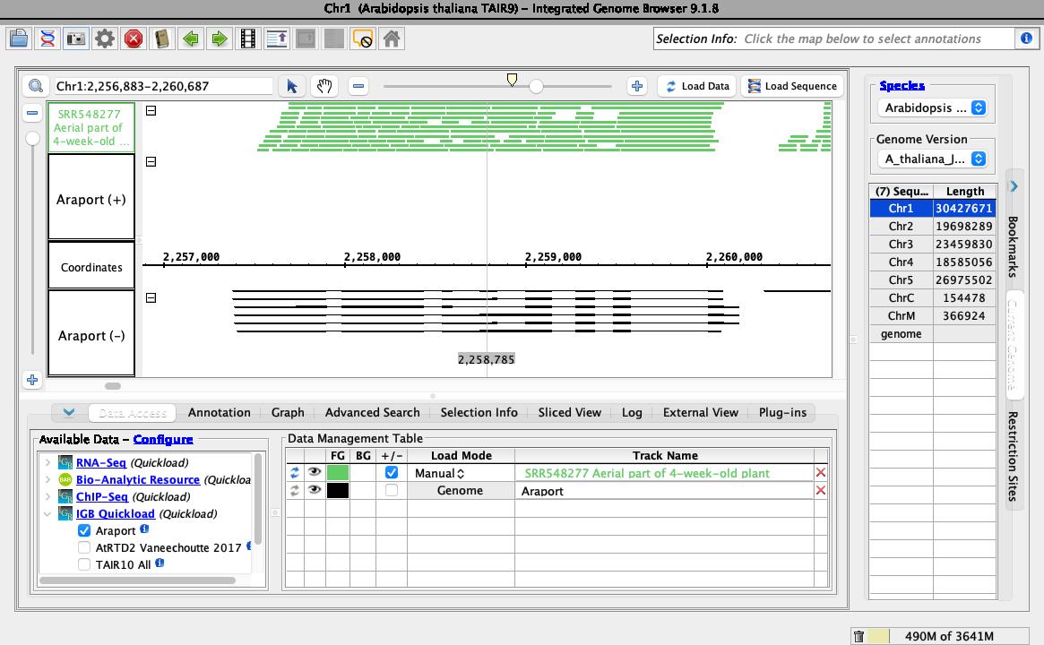 Image of data loaded from eFP-Seq Browser in IGB