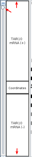 IGB Release Documentation > Track View > Selection_016.png