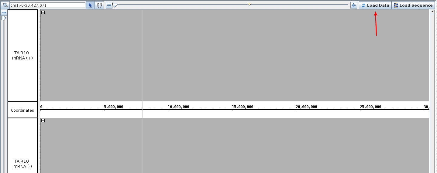 IGB Release Documentation > Track View > Selection_027.png