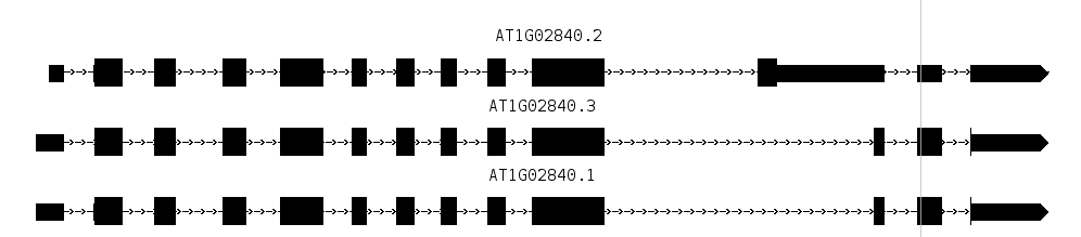 IGB Release Documentation > Track View > Selection_030.png