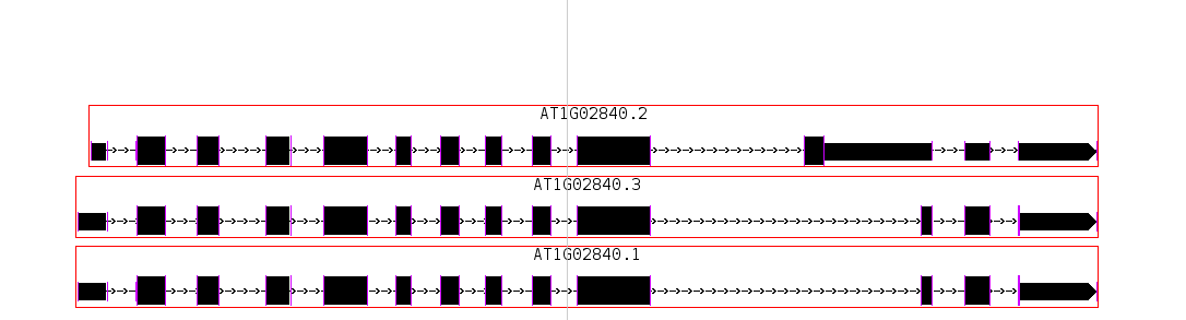 IGB Release Documentation > Track View > Selection_031.png
