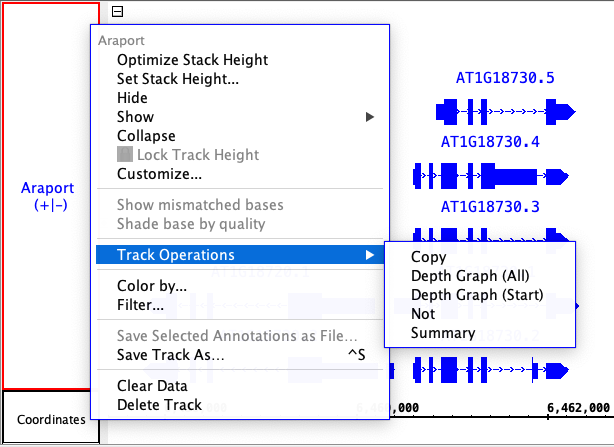 IGB User's Guide > Right-click (context) menus > right-click-annotations-track-label.png
